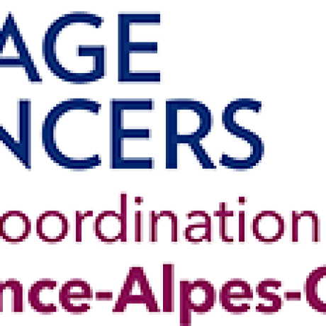 LOGO DESPISTAGE LOGO DESPISTAGE