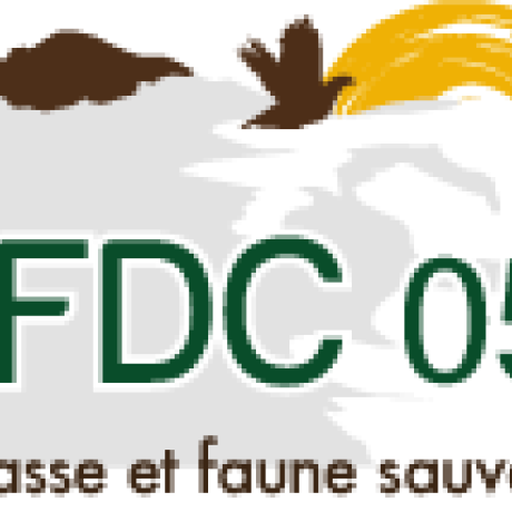 logo-fdc05