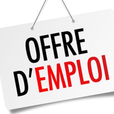 offre livreur de journaux