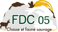 logo-fdc05