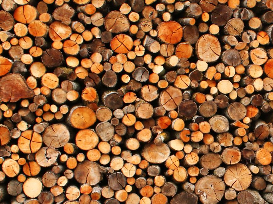 naturel-bois-bien-coupe